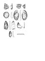 Thumbnail of Figure 71.png