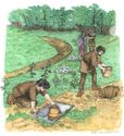 Thumbnail of Plate 2: The Barrow 1 cremation cemetery