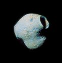 Thumbnail of Plate 6: The faience bead from Cossington. Photo: National Museums Scotland