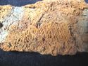 Thumbnail of Plate 16: Herringbone weave textile impression preserved on large spearhead in Plate 14