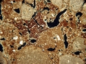 Thumbnail of 298a_colluvium_xpl_7mm