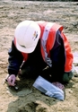 Thumbnail of Beechbrook Wood, careful excavation
