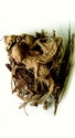 Thumbnail of Brockton Farm, spiritual midden