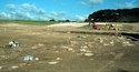 Thumbnail of ENV_Geoarch_WHS_plate03