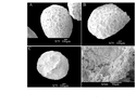 Thumbnail of ENV_Geoarch_WHS_plate06