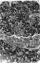 Thumbnail of Fig_3_WHS_300a_b_and_w