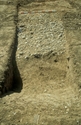 Thumbnail of Northumberland_Bottom, Roman track and ditch