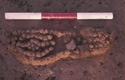 Thumbnail of Pepperhill, hobnail shoe
