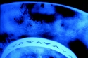 Thumbnail of Saltwood, Byzantine bowl, xray mend