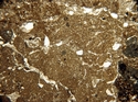 Thumbnail of WHS300a_calc_and_rooting_x2_5_PPL