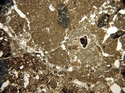 Thumbnail of WHS300a_calc_over_chaotic_x2_5_PPL