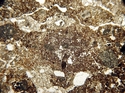 Thumbnail of WHS300a_chaotic_x2_5_PPL