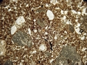 Thumbnail of WHS302_charcoal_bonex4PPL