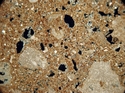 Thumbnail of WHS302_charcoal_bonex4XPL