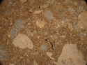 Thumbnail of WHS302_charcoal_bonex4_OIL