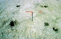 Thumbnail of White Horse Stone, four post structure