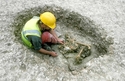 Thumbnail of White Horse Stone, animal burial