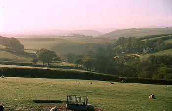 Tinhay Down Lifton