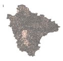 Loss of Field Boundaries