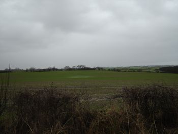 Image - Typical view of landscape