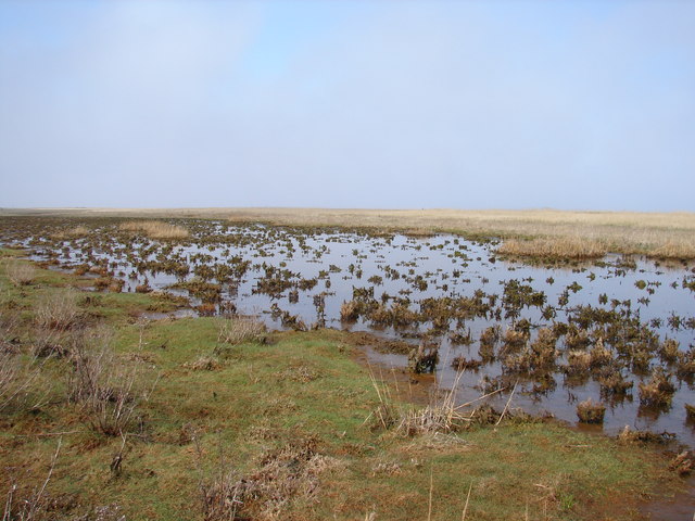 Haile sand flats