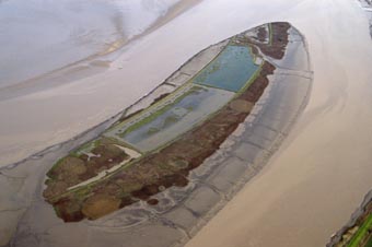 Read's Island, Humber Estuary