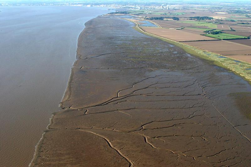 Mud flats along the humber estuary
