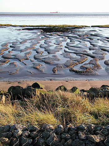 Sunk Island sands