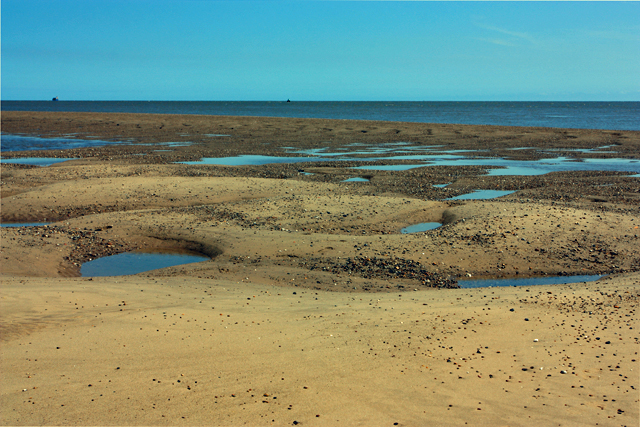 The Binks at low tide