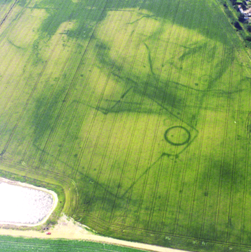 Photograph of an enclosure and ring-ditch at Langford Hall
