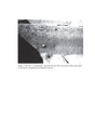 Figure 7: The Site 1 'cremation pit'
