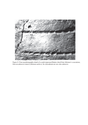Figure 8: Close-up photographic detail of a comb-impressed Beaker sherd from Atkinson's excavations