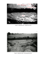 Figure 4: Netherhills Site 1; Figure 5: Netherhills Site 2