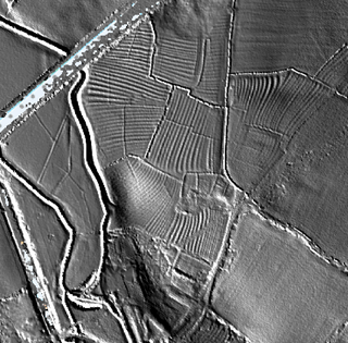 Wheatenhurst DMV LiDAR image