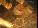 Thumbnail of Twin row engine cylinders, engine 1; still from video
