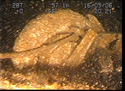 Thumbnail of Turbo supercharger, engine 1; still from video