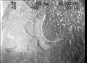 Thumbnail of Unidentified object next to wing; still from video