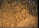 Thumbnail of Top view of oil tank, wing 1; still from video