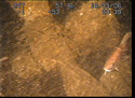 Thumbnail of Propellor on engine 2; still from video