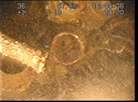 Thumbnail of Engine detail; still from video