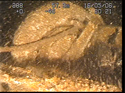 Thumbnail of Turbo supercharger, engine 1; still from video