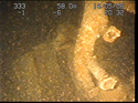 Thumbnail of Detail of aircraft; still from video