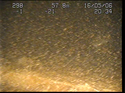 Thumbnail of Detail of aircraft; still from video