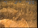 Thumbnail of Detail of aircraft; still from video