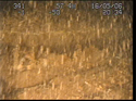 Thumbnail of Detail of aircraft; still from video