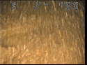 Thumbnail of Detail of aircraft; still from video