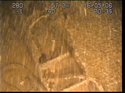 Thumbnail of Detail of aircraft; still from video