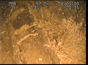 Thumbnail of Detail of aircraft; still from video