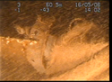 Thumbnail of Leather strap in structure, view 2; still from video