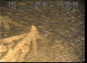 Thumbnail of Detail of aircraft; still from video